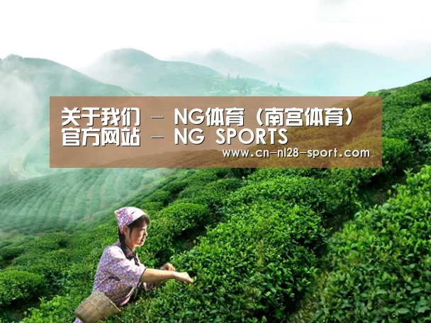关于我们 - NG体育 (南宫体育)官方网站 - NG SPORTS